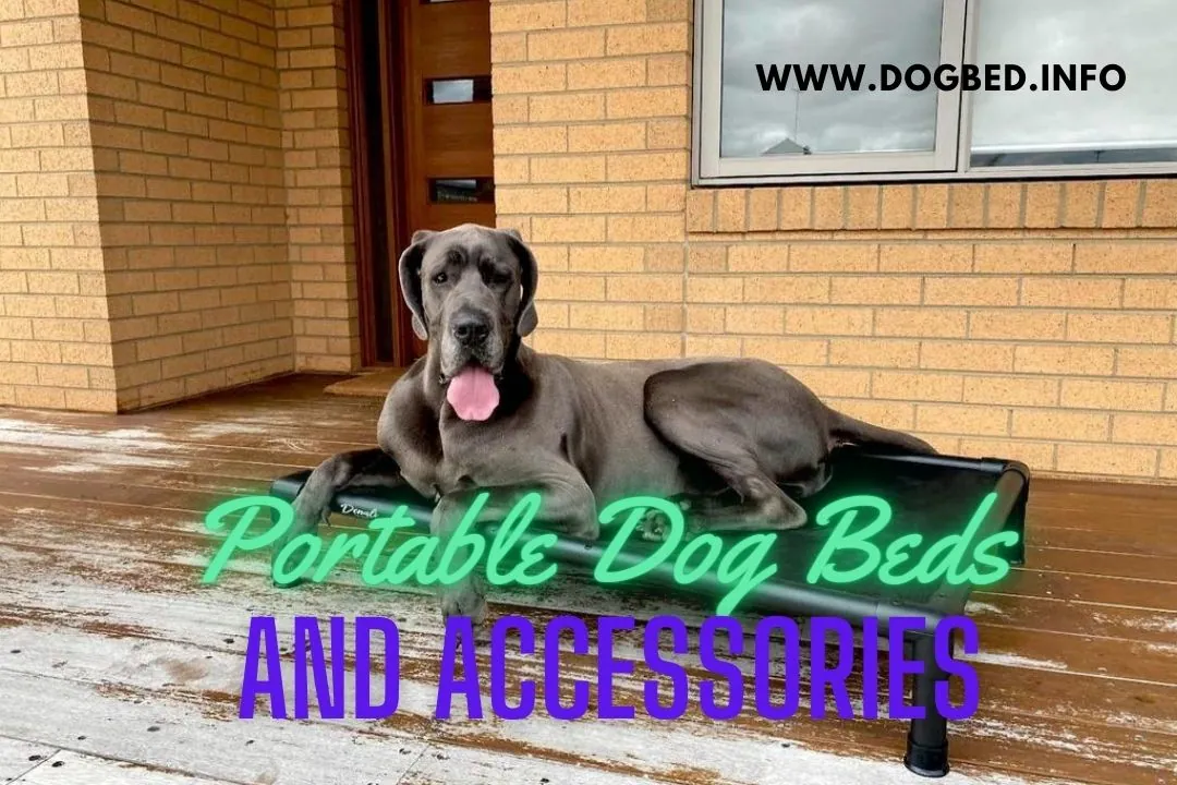 Portable Dog Beds and Accessories